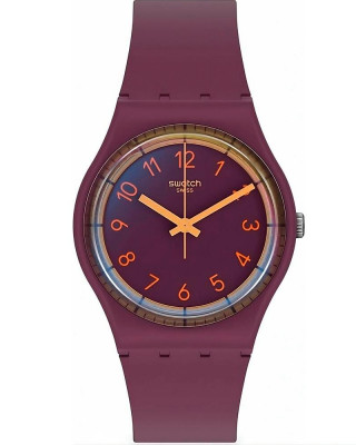 Наручные часы Swatch SWATCHPAY! SVHV100-5300