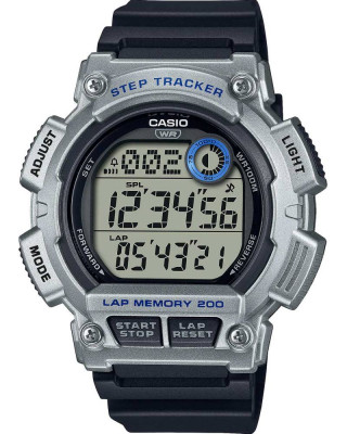 Наручные часы Casio Collection Men WS-2100H-1A2