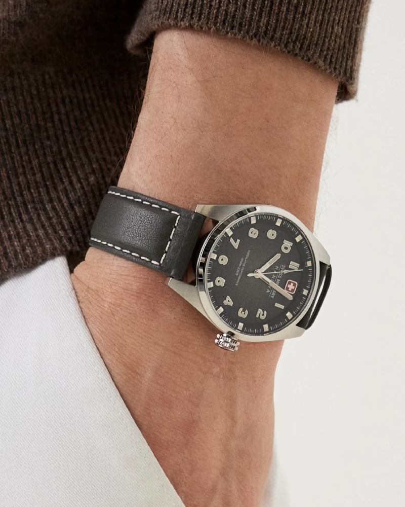 Greyhound SMWGA0001501