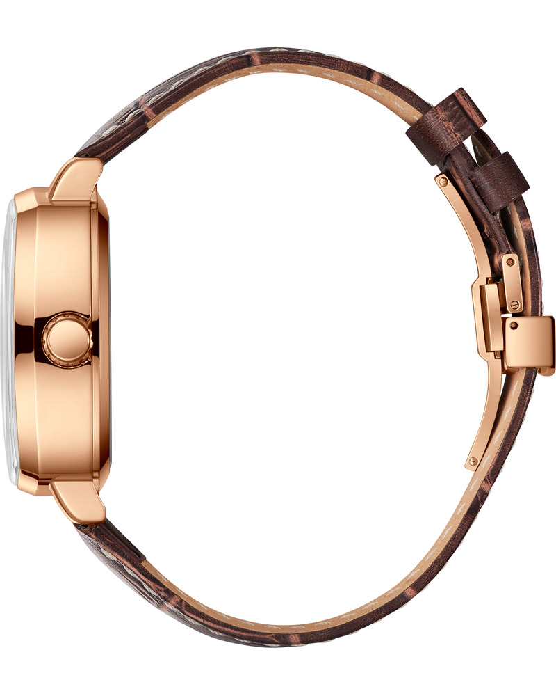 Часы Beverly Hills Polo Club BP3796X.452